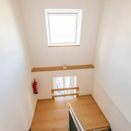 Wohlleben Petrus Vi *